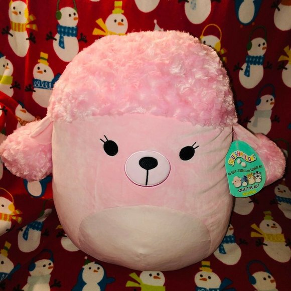 chloe the pink poodle squishmallow